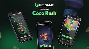 Discovering BC.Game Casino A New Era of Online Gambling in Cameroon